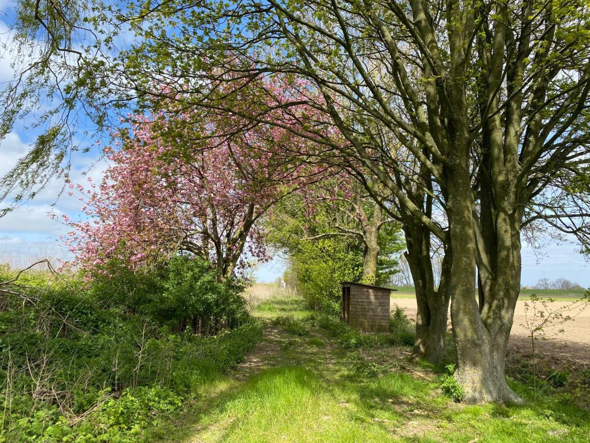 Roer, Aan De Maas *